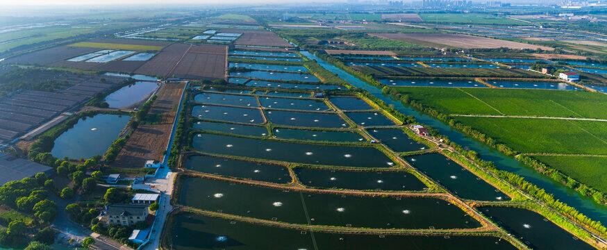 Cultivating Beneficial Bacteria: A Smart Strategy for Aquaculture Water Management