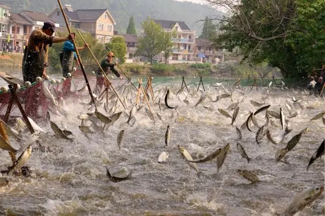 Aquaculture2.jpg